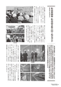 kouren652