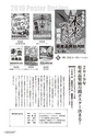 kouren655